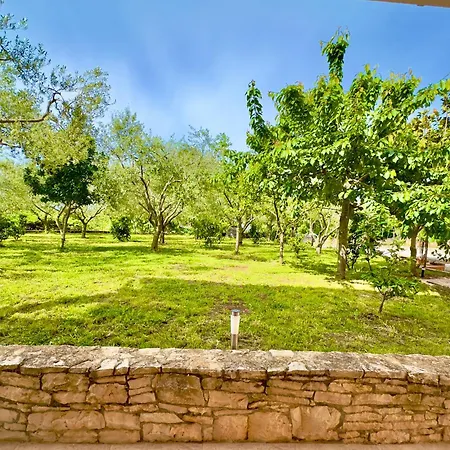 Marijan & Marija Apartament *